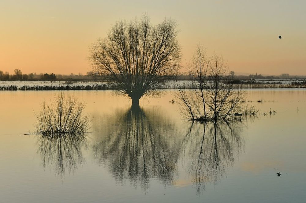 Flood.