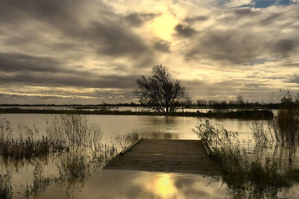 Flood.