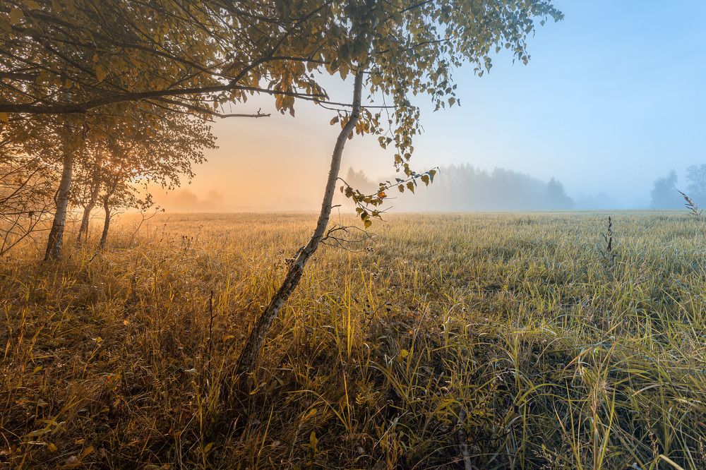 осень, Смоленская обл., Торбеево
