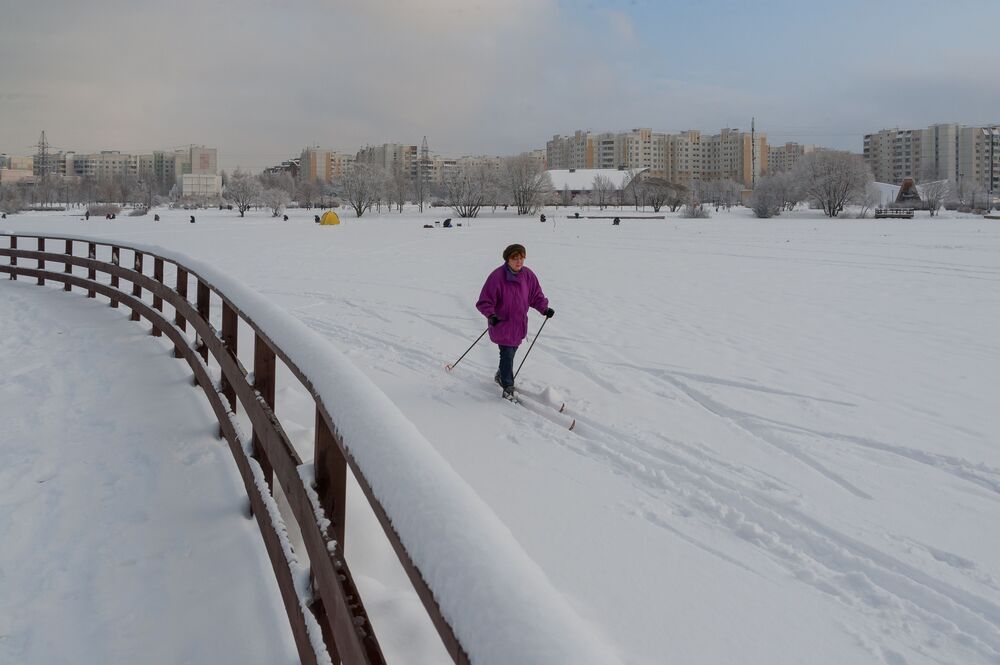Декабрьский денёк в парке