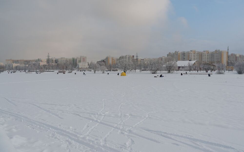 Декабрьский денёк в парке