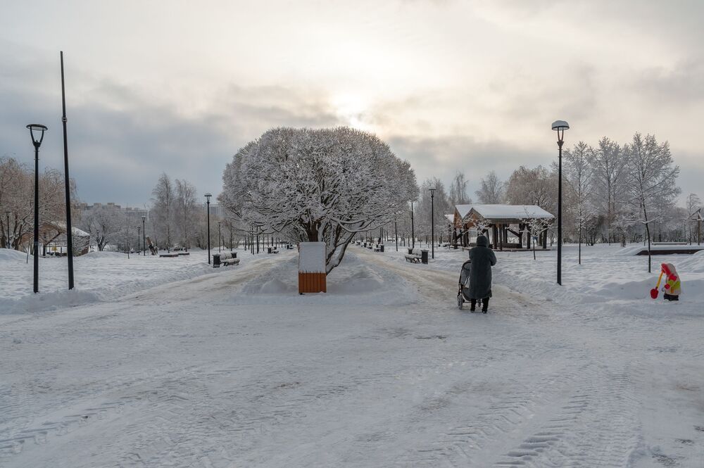 Декабрьский денёк в парке