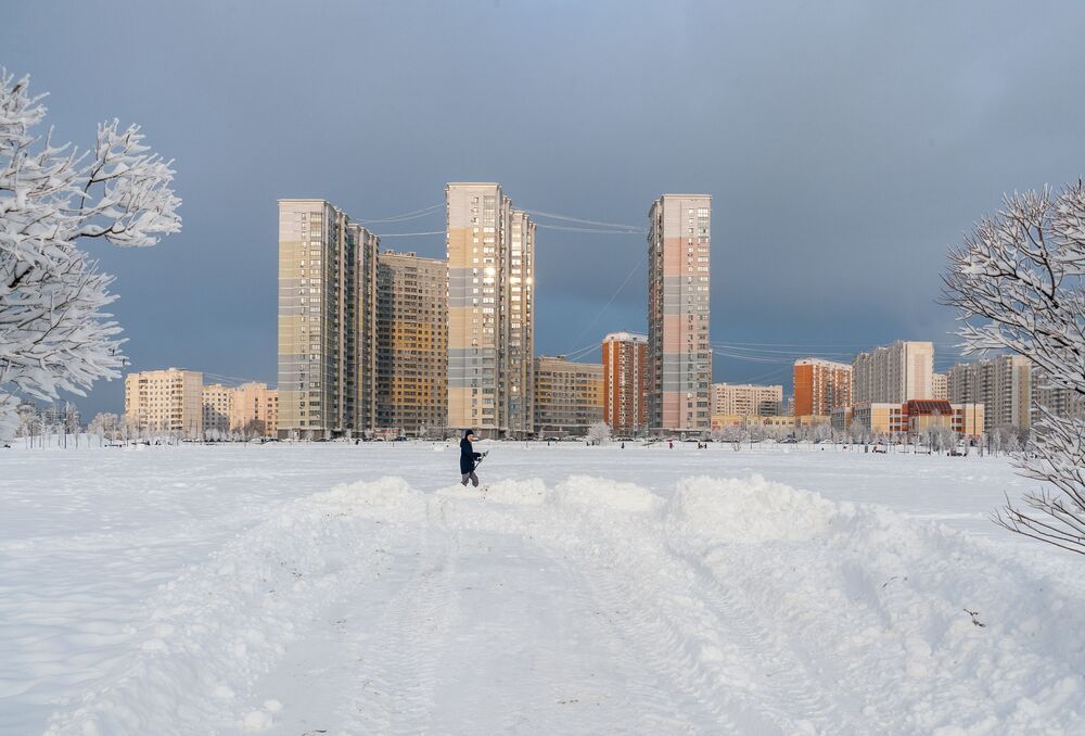 Декабрьский денёк в парке