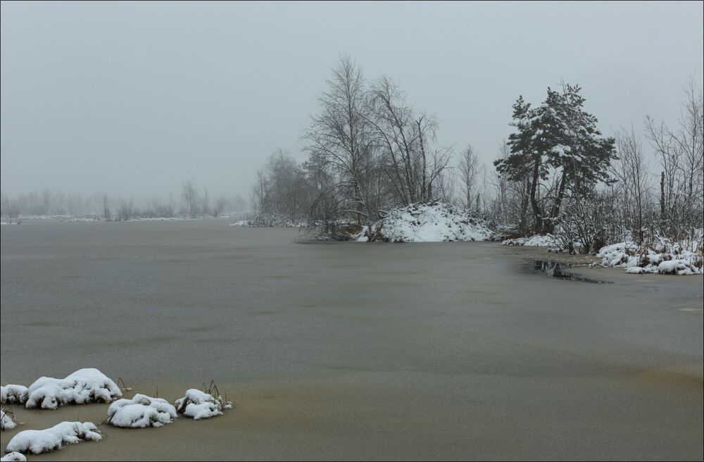 Хата бобра (домина в человеческий рост).