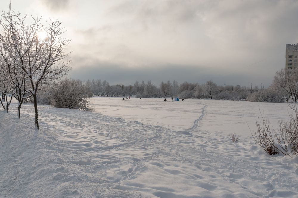 В снежном парке