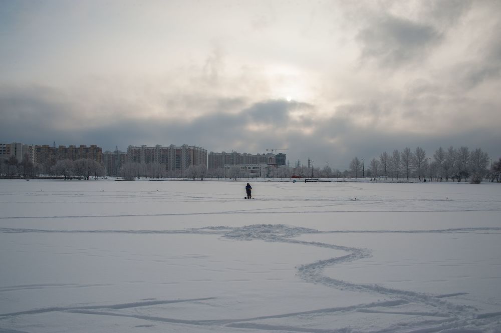 В снежном парке
