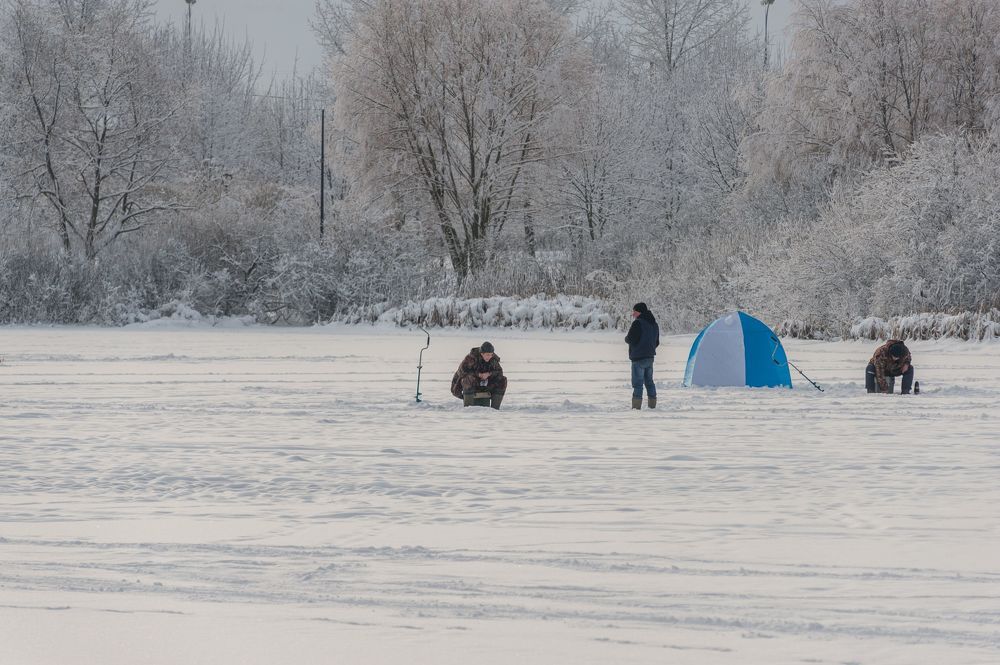В снежном парке