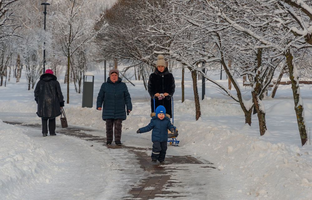 В снежном парке
