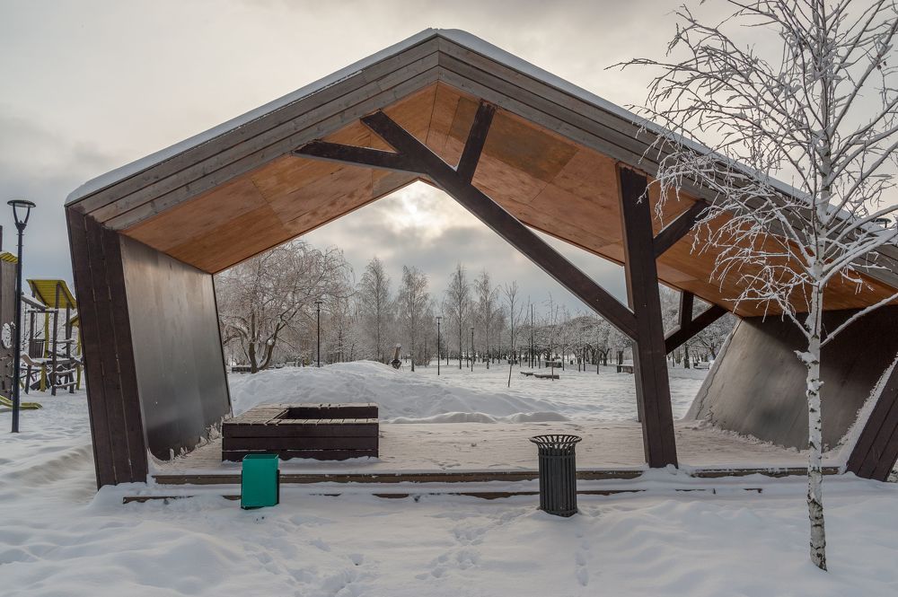 В снежном парке