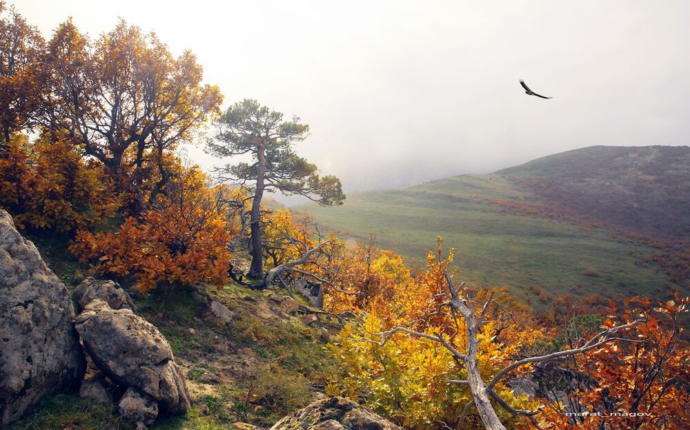 Осенние мотивы..