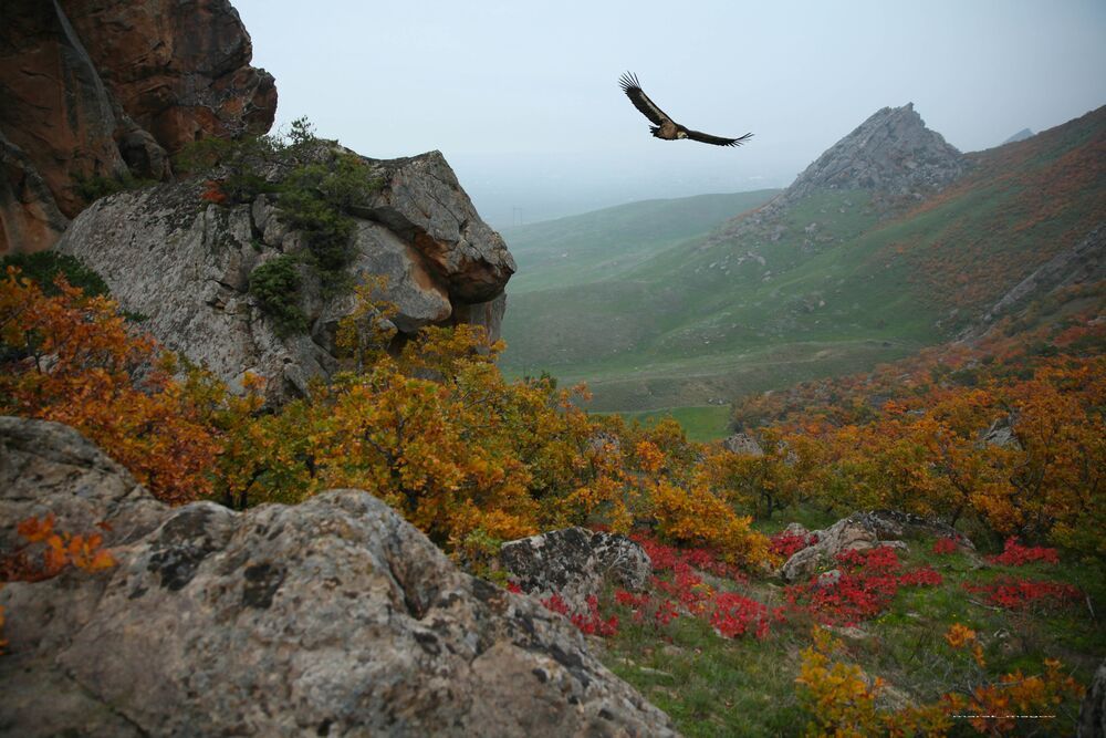 Осенние мотивы..