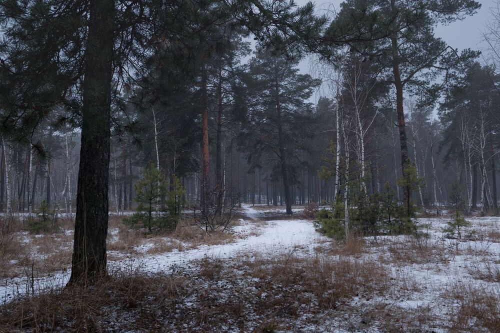 Декабрьская меланхолия