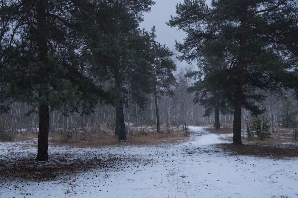 Декабрьская меланхолия