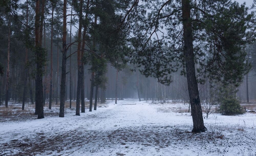 Декабрьская меланхолия