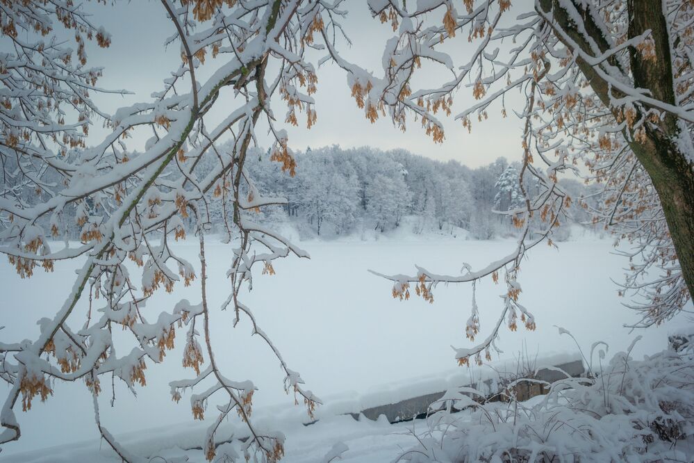 Белая зима