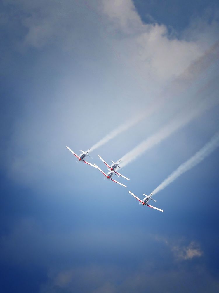 Wings of Storm