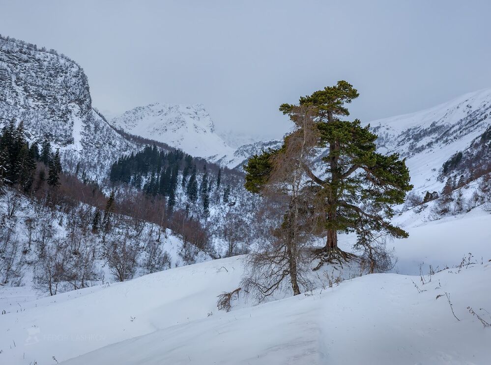 Зимняя прогулка в горах