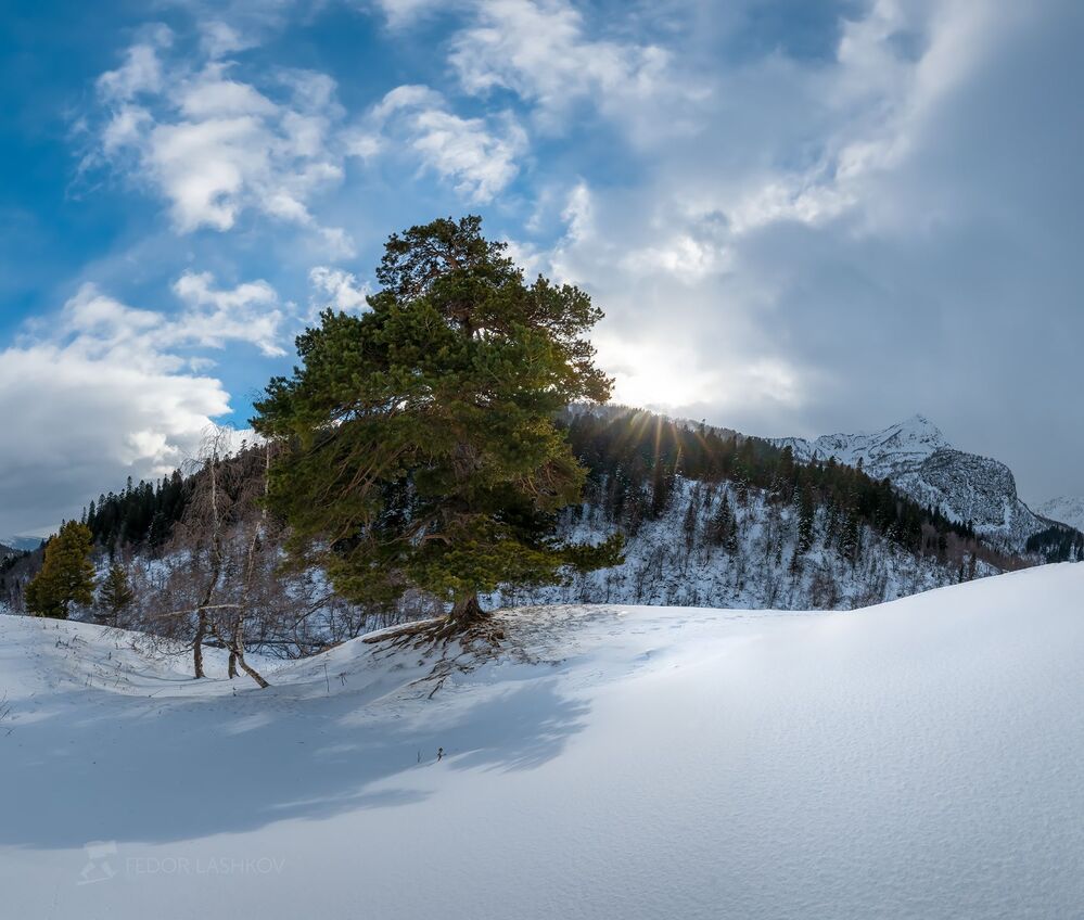 Зимняя прогулка в горах