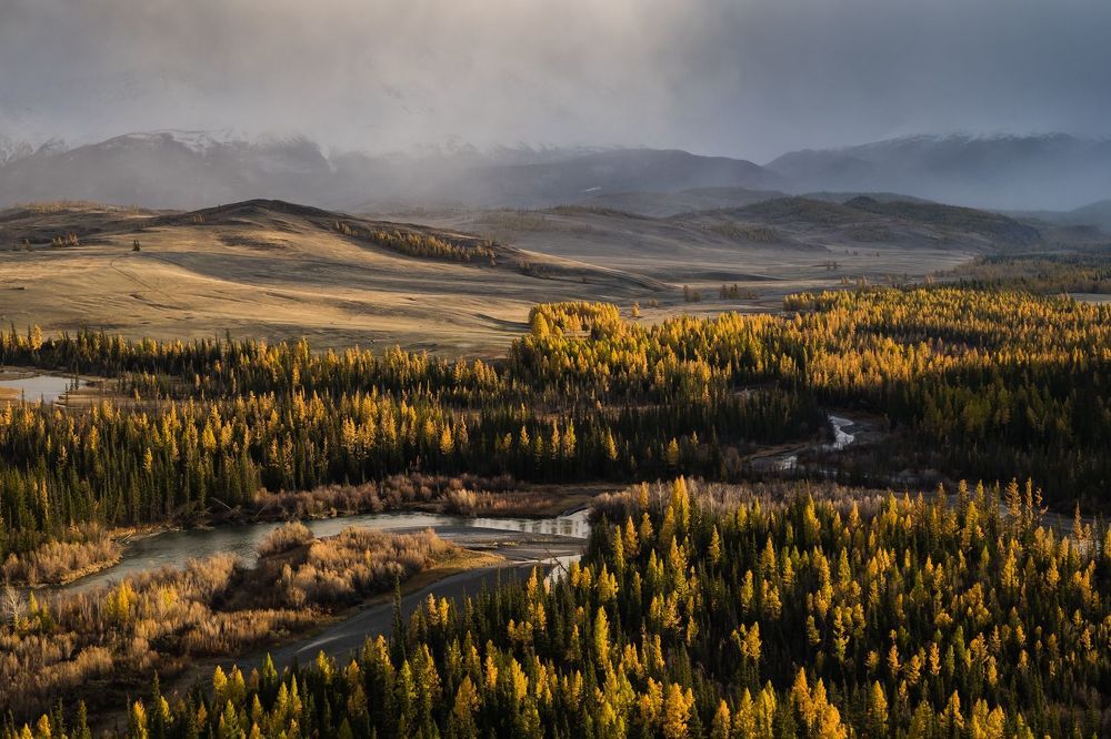 Курайская степь