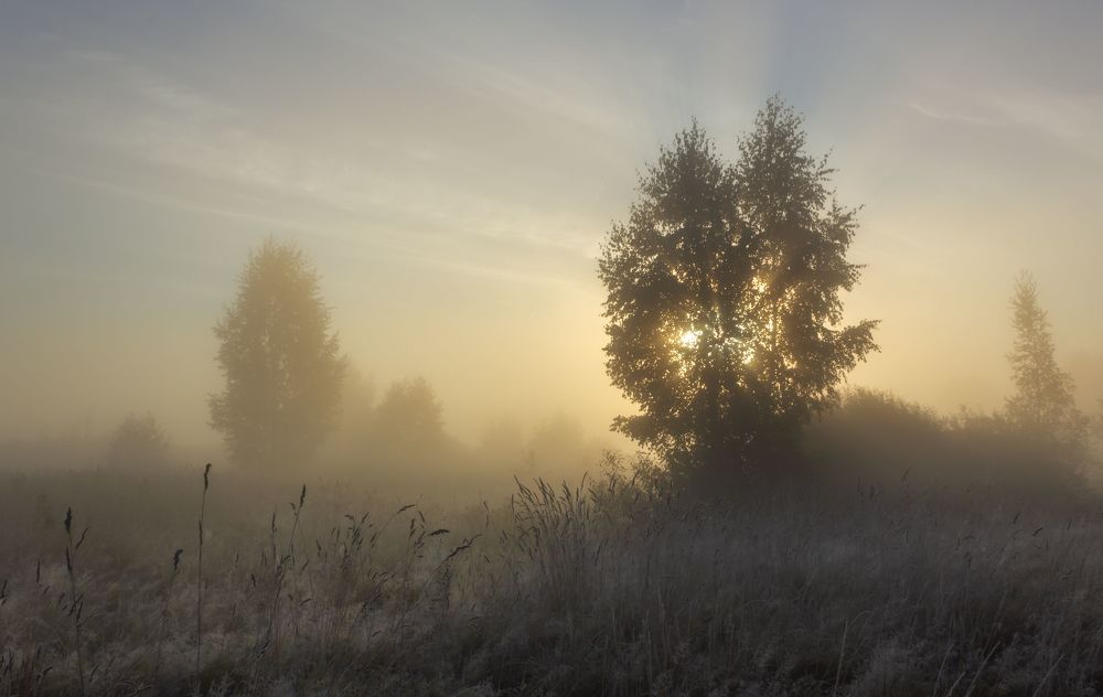 Photo 2067108
