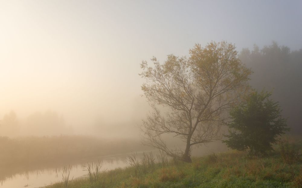 Photo 2067111