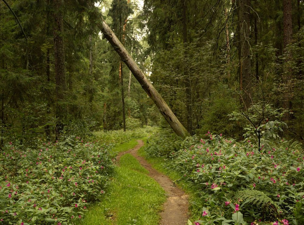 Photo 2067113