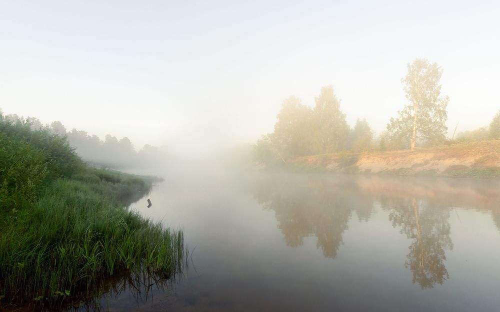 Photo 2067115
