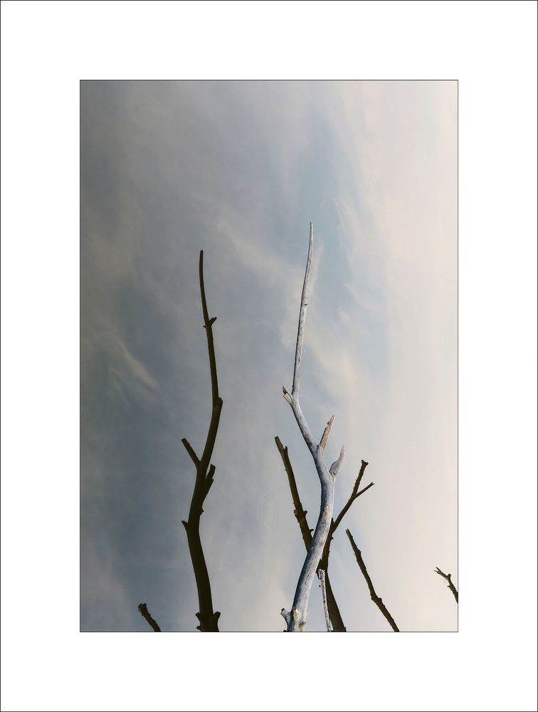 Photo 2067514