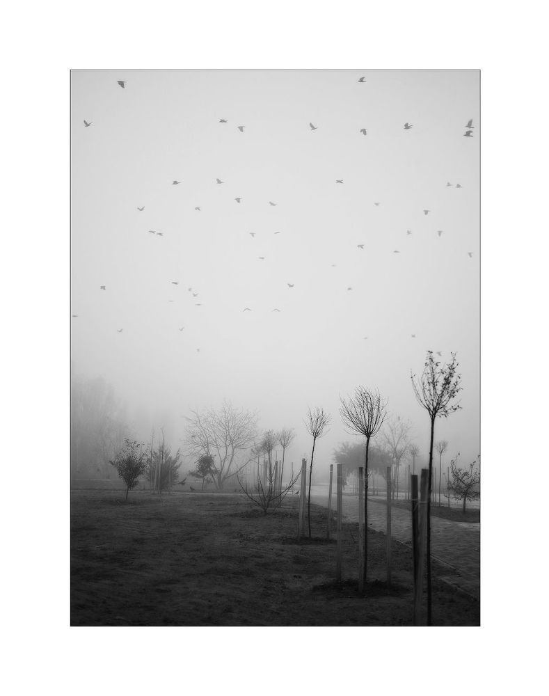 Photo 2067521