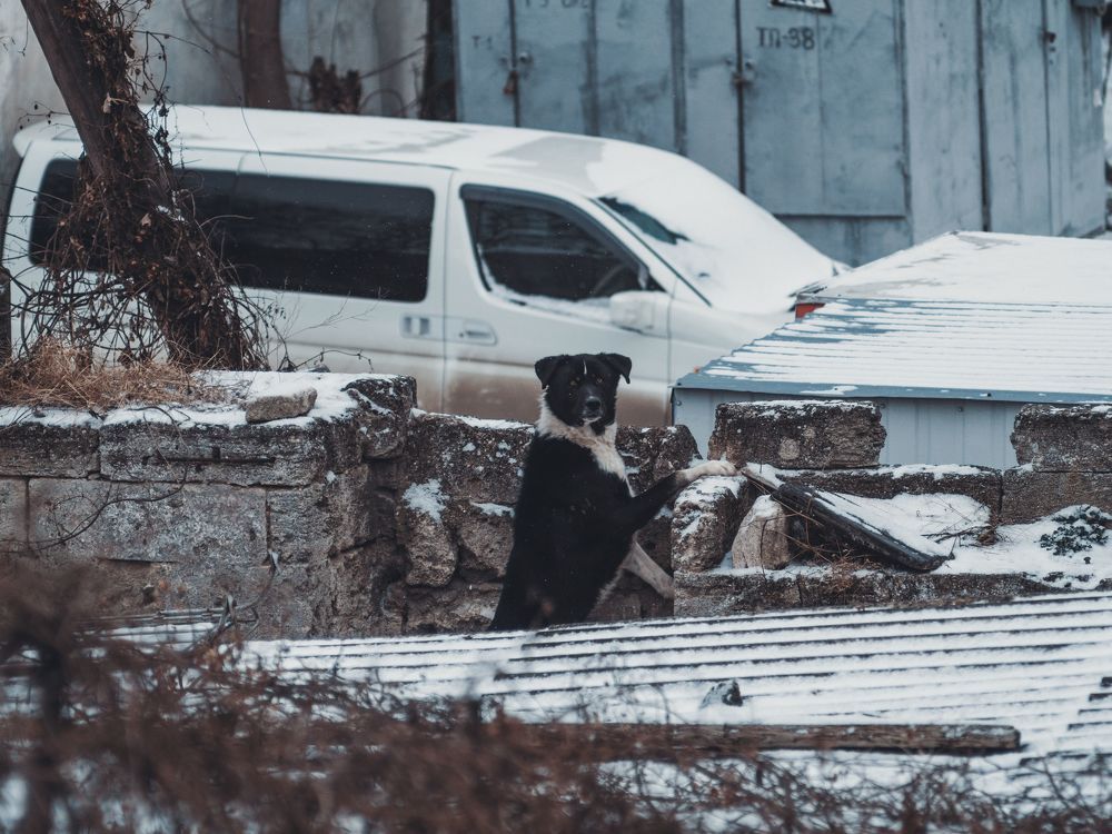 Снежные хроники древнего города.