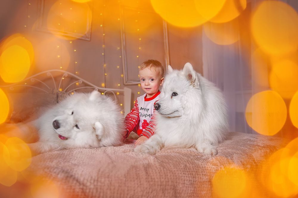 Photo 2068892