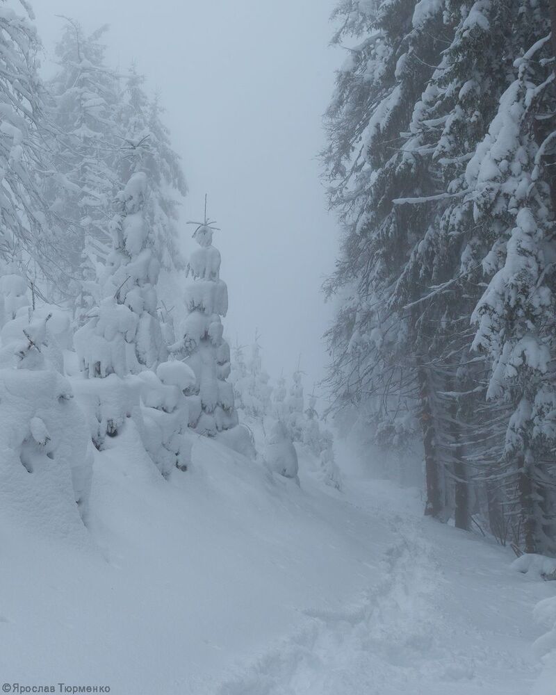 Photo 2068962