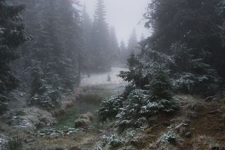 болотце в горах