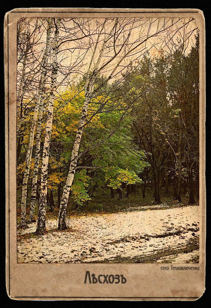 Лесхоз