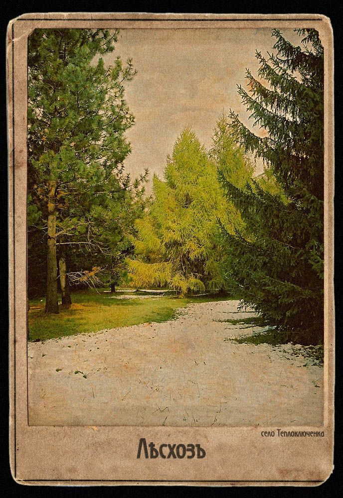 Лесхоз