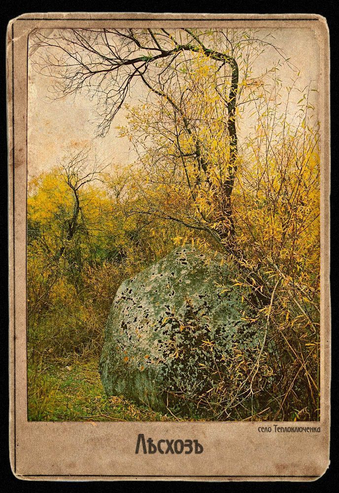Лесхоз