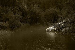 Проехав несколько километров уже почти по совсем заросшей дороге,  мы пересекаем горную речку Аркагала , моросит мелкий уже затянувшийся на несколько дней дождик. Наскоро проезжаем в глубь поселка и решаем сделать лагерь на берегу реки.