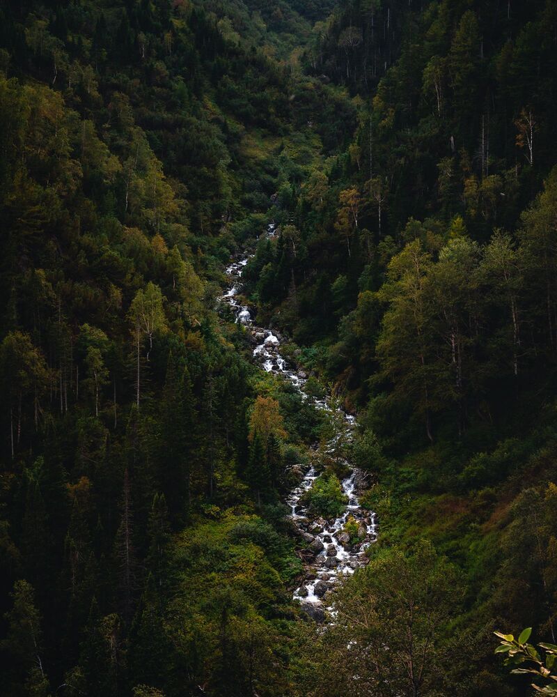 Photo 2071296