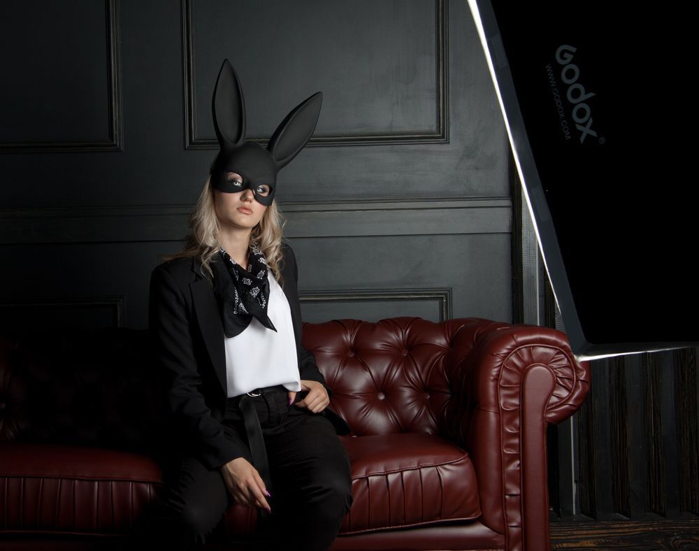 rabbit