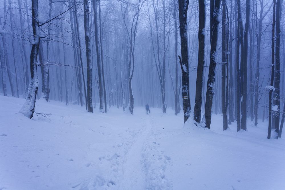 Bieszczady