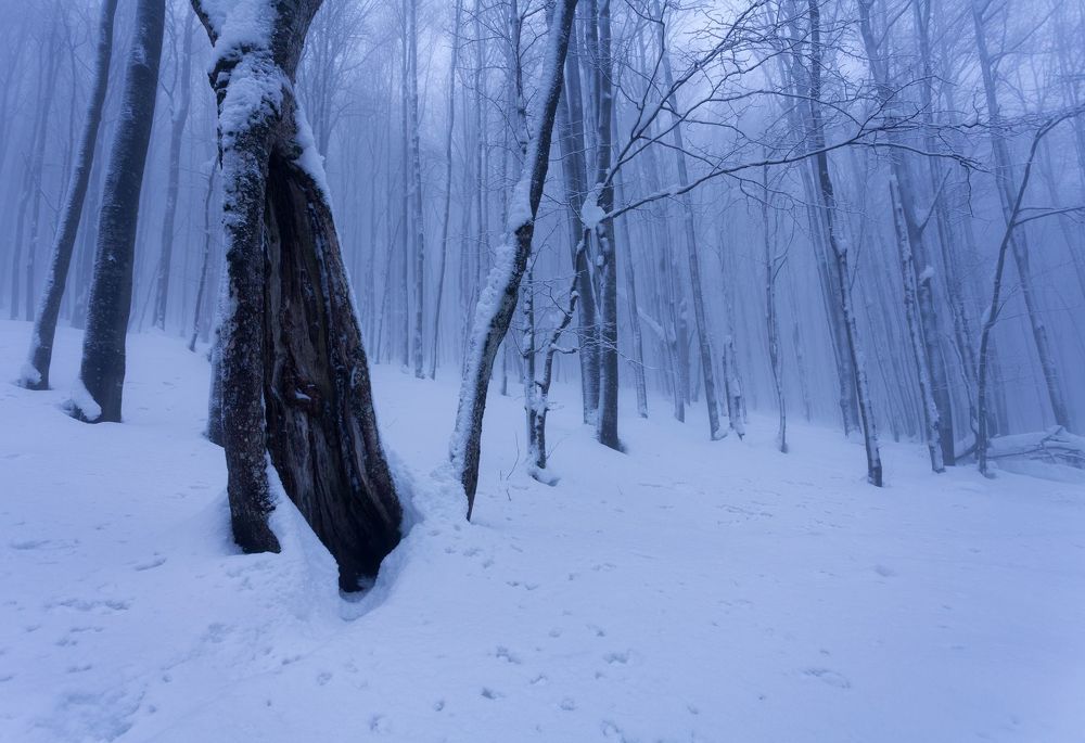 Bieszczady