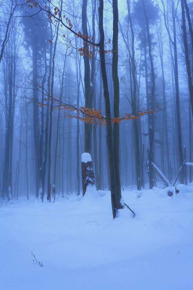 Bieszczady