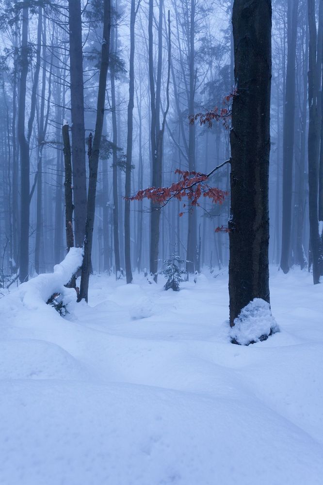 Bieszczady