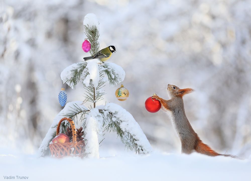 С Новым Годом!
