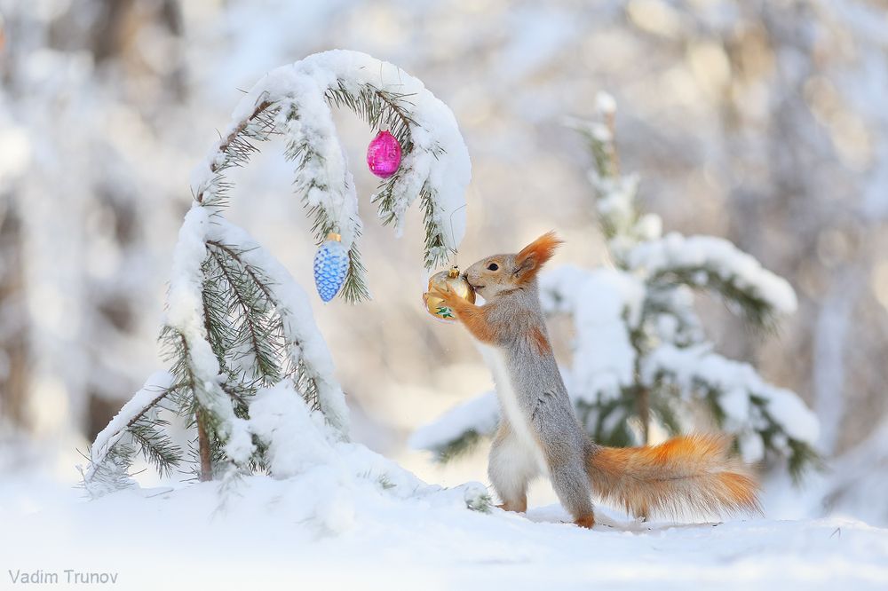 С Новым Годом!