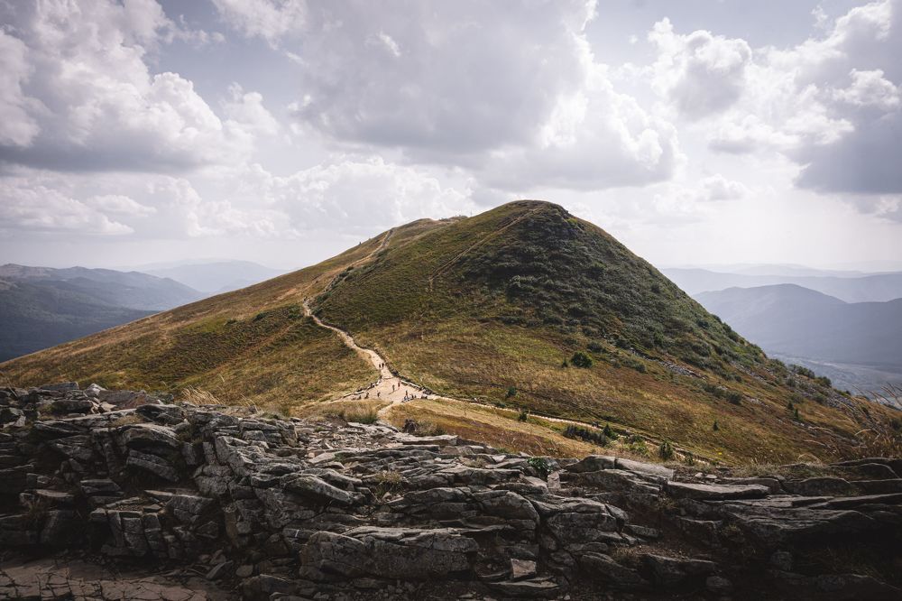 Tarnica