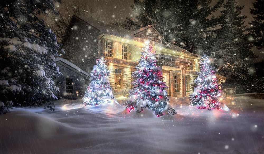 images of Winter Happiness