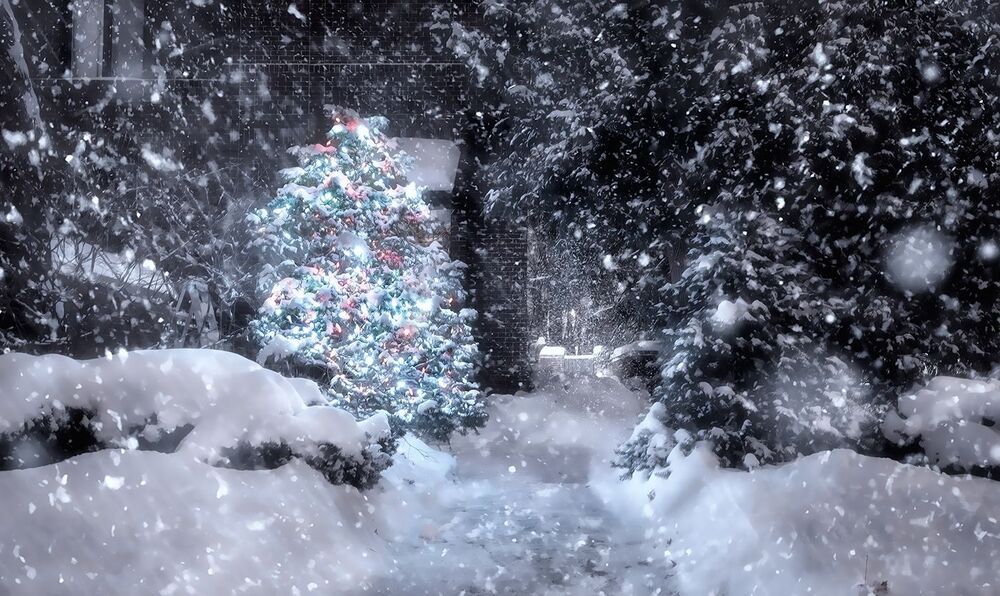 images of Winter Happiness