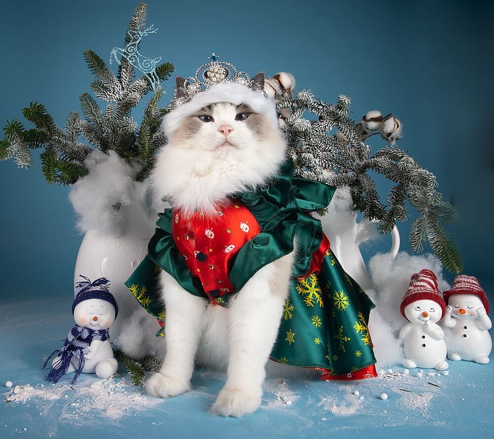 Матильда. Снегурочку - вызывали? Happy New Year!