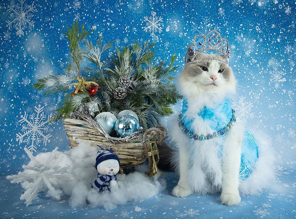 Матильда. Снегурочку - вызывали? Happy New Year!